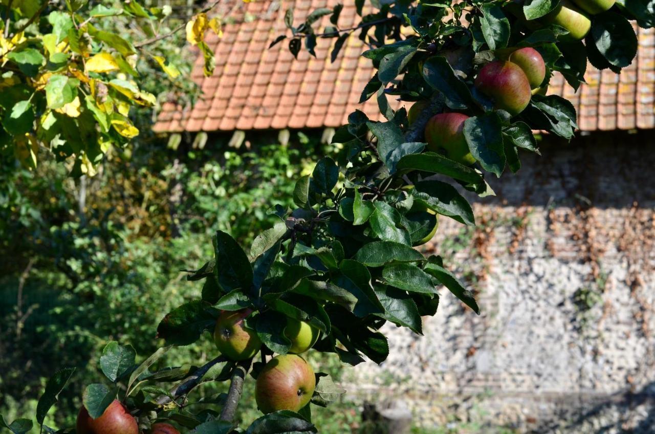 La Tour Blanche Maison d'hôtes